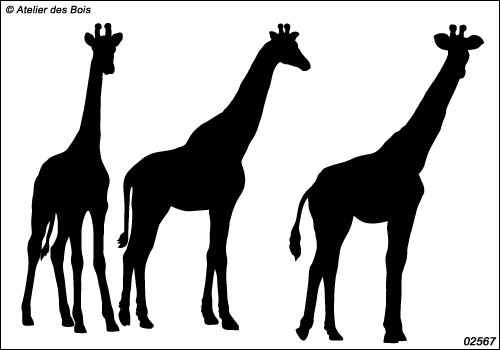 Ramoshwani, les Girafes : silhouettes modèles 1 + 2 + 3
