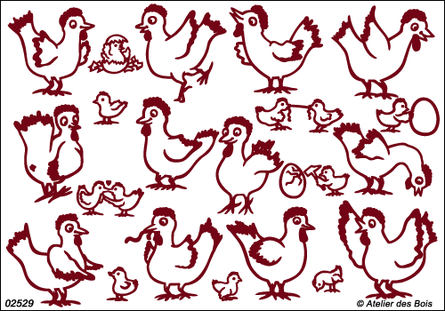 Les Poules de Colette, 12 poules caquetantes et 11 poussins