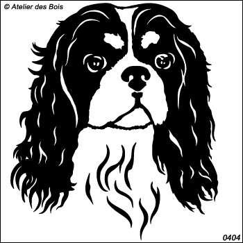 Sully, Tête de Cavalier King Charles (traits noirs)
