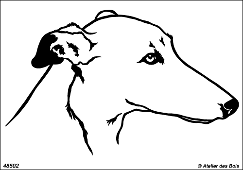 Linford, portrait de Greyhound M502