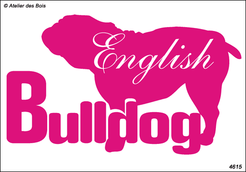 Graphisme English Bulldog avec silhouette
