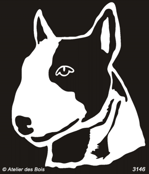 Jeffrey, Tête de Bull Terrier bicolore (Traits clairs)