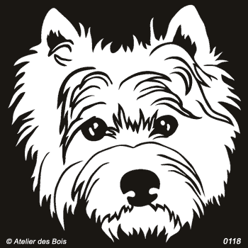 Glenn, Tête de West Highland White Terrier (Clair, traits fins)