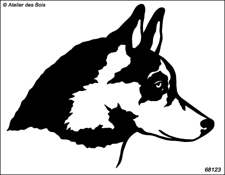 Erenkhey, portrait de Siberian Husky de profil, charbonné R68123
