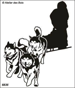 Kodiak, Attelage de 3 chiens de traineau rando