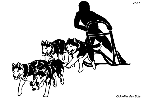 Nashak, Attelage de sprint 4 chiens