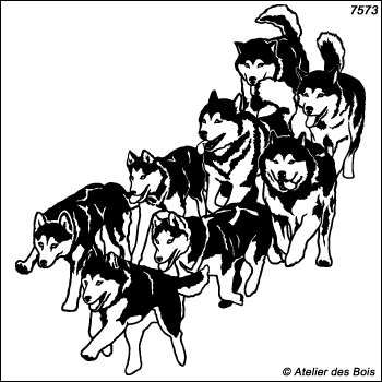 Nishagaq, Meute de 8 chiens de traîneau