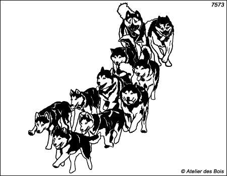 Nishagaq, Meute de 10 chiens de traîneau