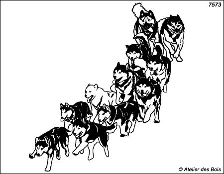Nishagaq, Meute de 11 chiens de traîneau