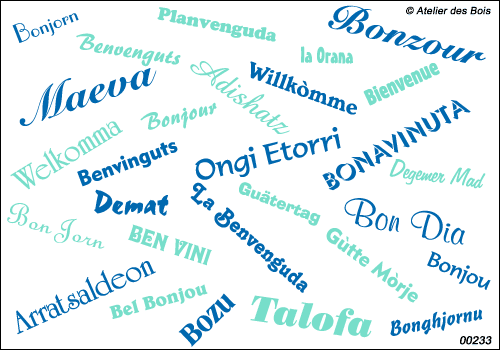 Mots Bonjour et Bienvenue en 14 langues régionales, bicolore.