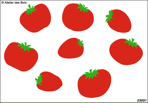 Ensemble de tomates bicolores