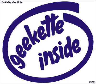 Geekette Inside !