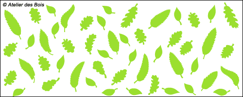 Assortiment de feuilles