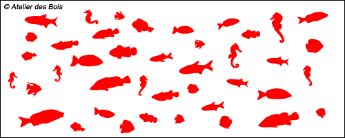 Assortiment de poissons et hippocampes