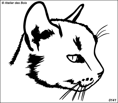 Amnat, Profil de chat (sans marques)