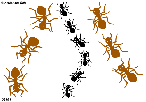 Ensemble de fourmis vues du haut 3101