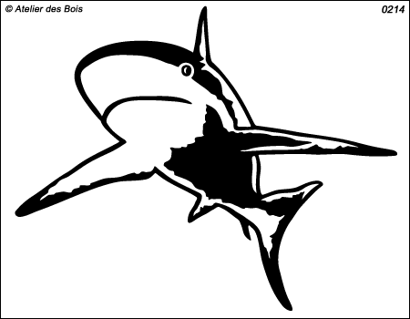 Requin modèle 2