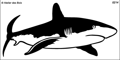 Requin modèle 3