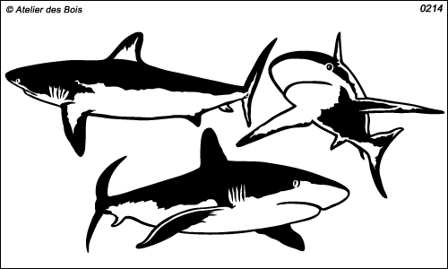 Ensemble de 3 Requins