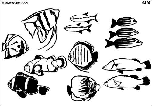 Ensemble de 13 poissons