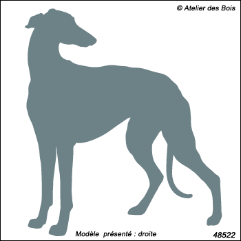 Silhouette de Greyhound debout M522