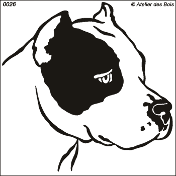 Eros, Tête d'American Staffordshire Terrier N/B (Traits fins)
