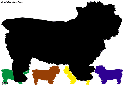 Beverly, Silhouette de Norwich Terrier debout