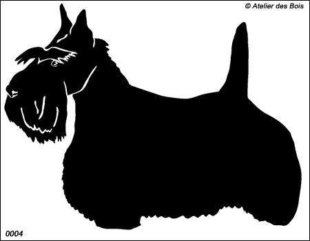 Dundee, Scottish Terrier debout (Foncé, Traits fins)