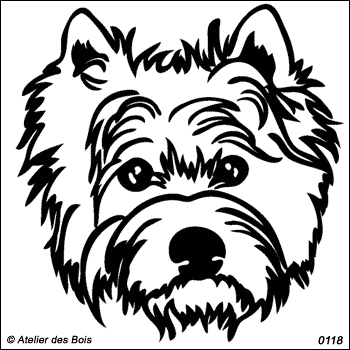 Glenn, Tête de West Highland White Terrier (Contours fins)