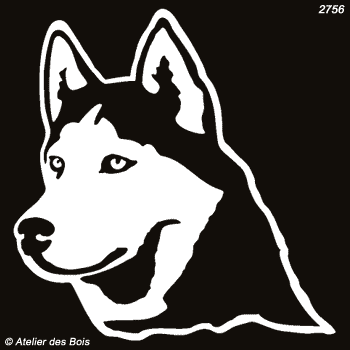 Igarka, Siberian Husky masque ouvert (Clair, traits larges)