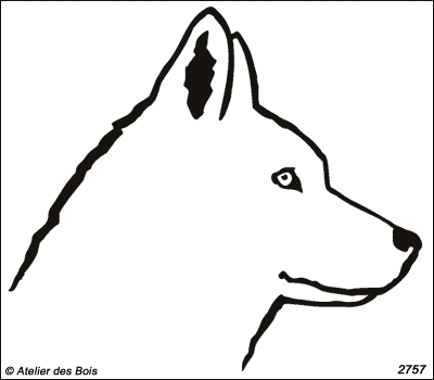 Nelkan, Siberian Husky blanc (Contours foncés, fins)