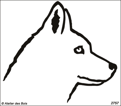 Nelkan, Siberian Husky blanc (Contours foncés, larges)
