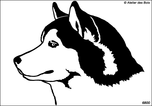 Bumpee, profil de Siberian Husky, moyen et grand modèle