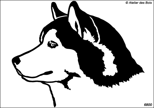 Bumpee, profil de Siberian Husky, petits et moyens modèles