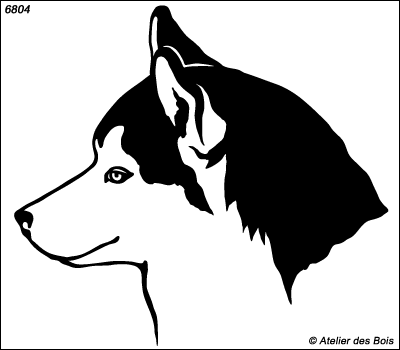 Aldan, Profil de Siberian Husky, modèle charbonné