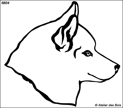 Aldan, Profil de Siberian Husky, modèle blanc