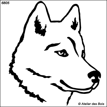 Majayak, Tête de Siberian Husky, modèle blanc