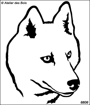 Anavar, Tête de Siberian Husky, modèle blanc