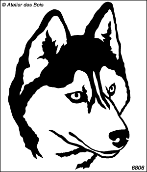 Anavar, Tête de Siberian Husky, masque charbonné