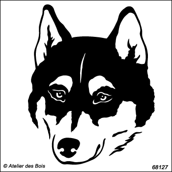 Kameshek, portrait de Siberian Husky de face, charbonné R68127