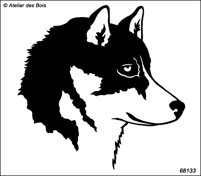Turuk, portrait de Siberian Husky de profil, charbonné R68133