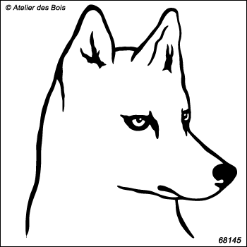 Manyuk, portrait de Siberian Husky de profil, blanc R68145