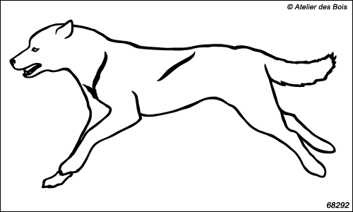 Attelage chiens de traîneau : Birynuq, chien N6829.2 blanc