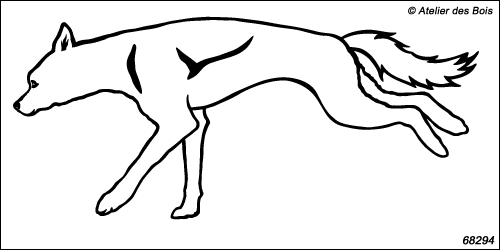 Attelage chiens de traîneau : Dzenthan, chien N6829.4 blanc