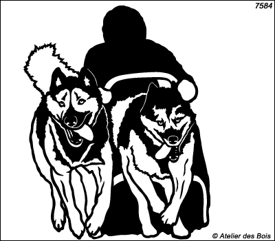 Aklaviq, Attelage de 2 chiens de traîneau
