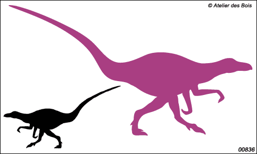 Collection Dinosaures : silhouette de Vélociraptor 836