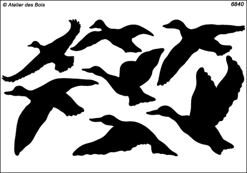 Ensemble de 7 silhouettes de canards en vol