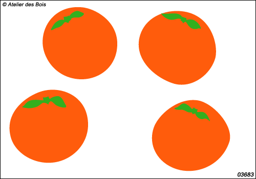 Ensemble d'oranges bicolores