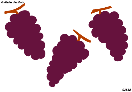 Ensemble de grappes de raisin bicolores