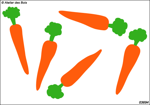 Ensemble de carottes bicolores